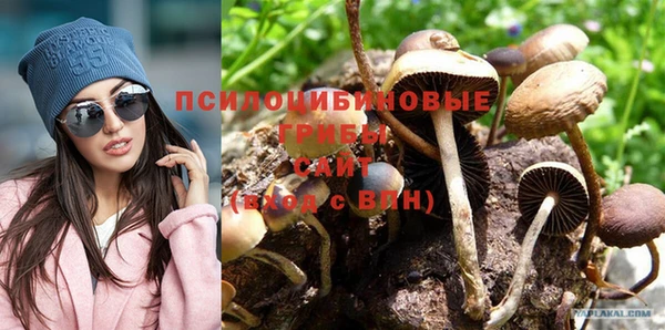 трава Беломорск