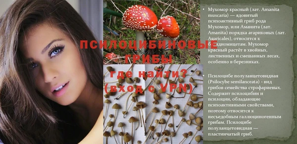 ГАЛЛЮЦИНОГЕННЫЕ ГРИБЫ Богородицк
