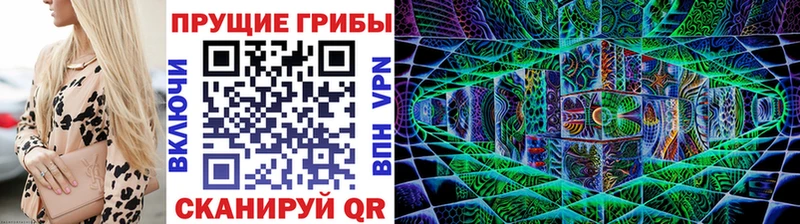 Псилоцибиновые грибы GOLDEN TEACHER  hydra маркетплейс  Клинцы  наркотики 